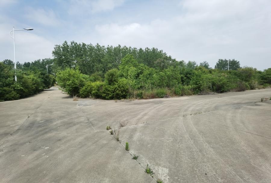武坚工业园无证土地、建筑、设备等-3