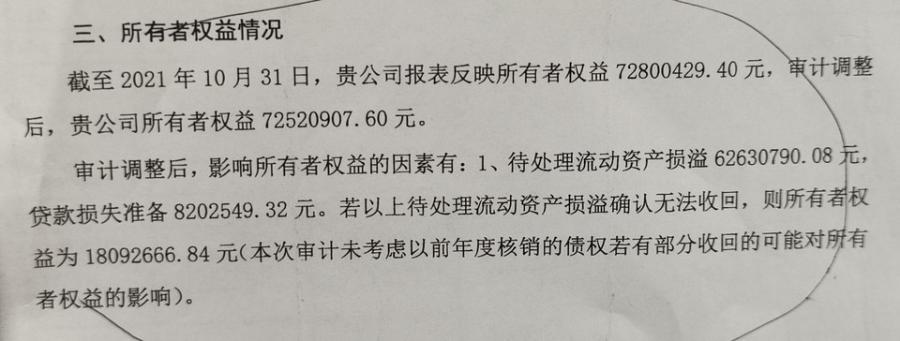 金业小额贷款公司2000万股权-1